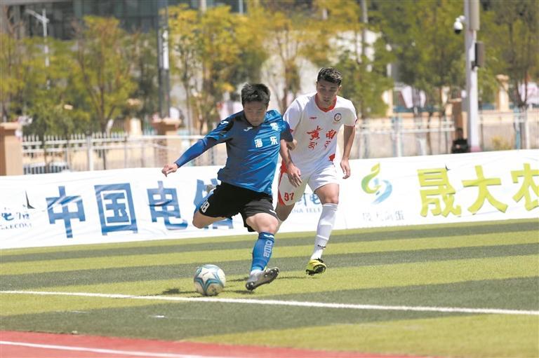 拼抢阶段, 黄南热贡艺, yid
