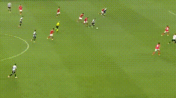 纽卡, img 纽卡, img