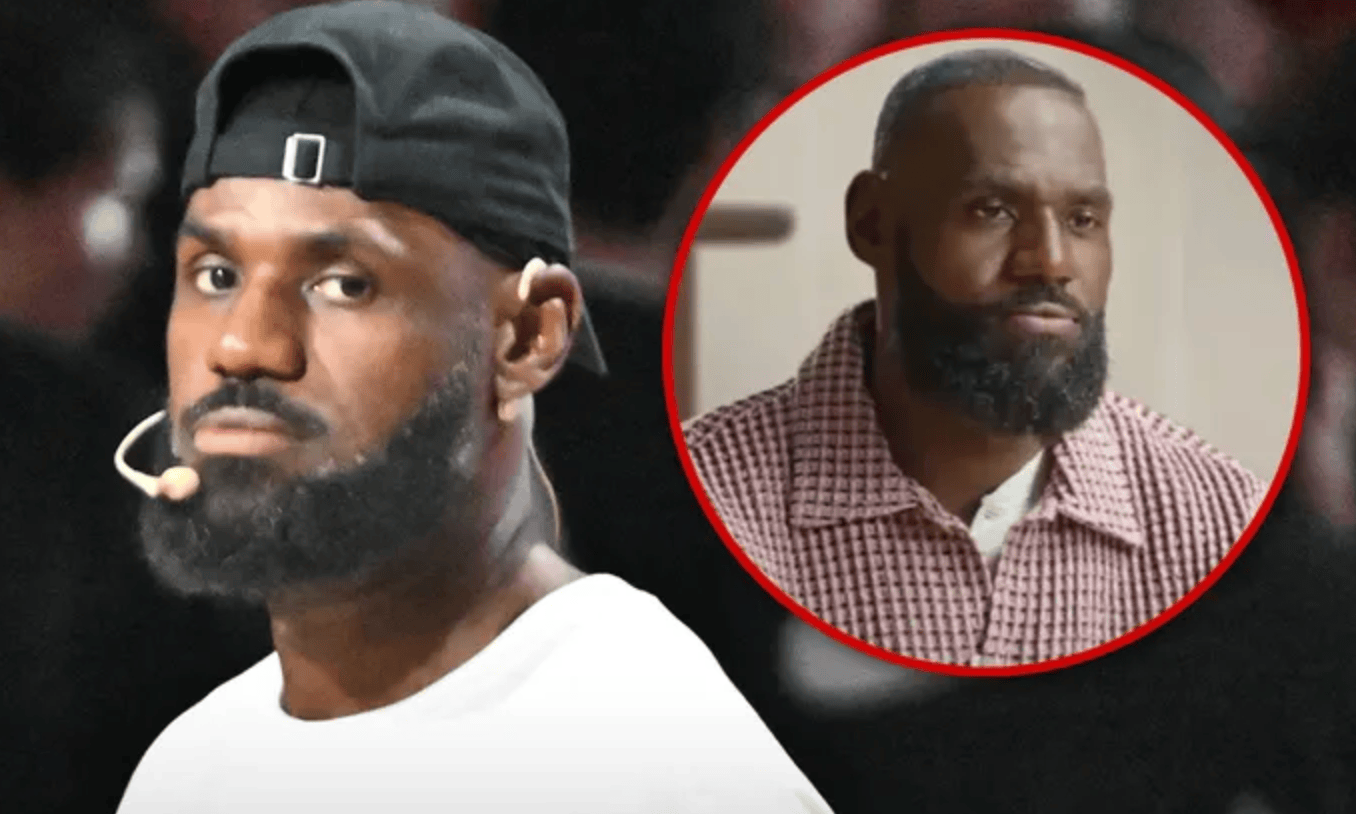 购票网站提, msn 购票网站提, msn